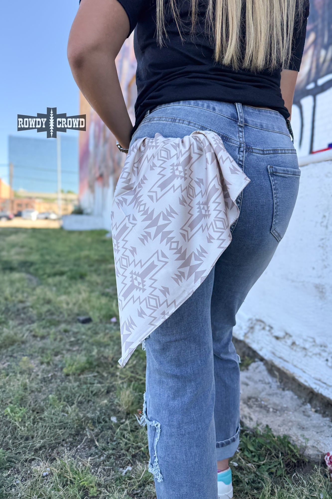 SMALL Go Round Wild Rag - Cowgirltops.com